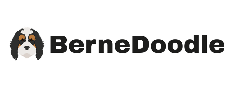 Bernedoodle